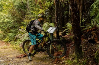 Marton Sash and Door - Grade 2 | 18kms | 2 - 3 hours