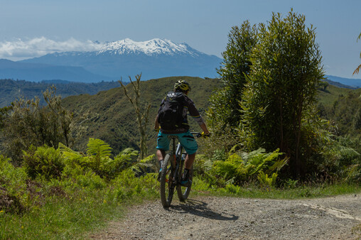 The Classic Experience - 231 kms of Classic Kiwi Riding | Grade 3