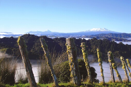 The Adventure Route - Navigate a route less travelled (278kms) | Grade 3