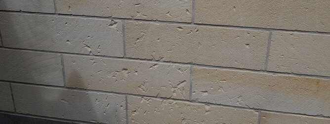 Pitted Oamaru stone from plant contact