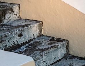 Lichen growth on steps