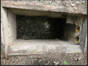 Why Cesspit Maintenance is Crucial