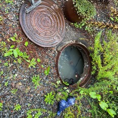 PUMP CHAMBER CLEARING