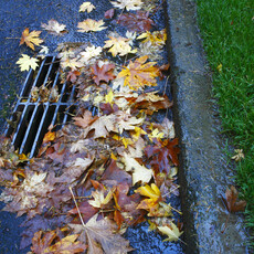 CESSPIT CLEARING