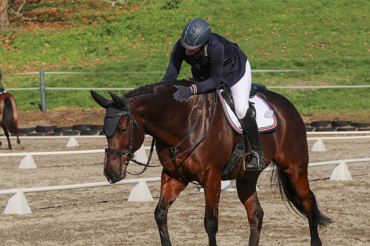 Catalyst enjoying life after racing | The Oaks Stud
