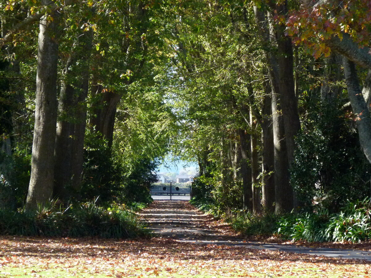 Seasonal Position Available The Oaks Stud