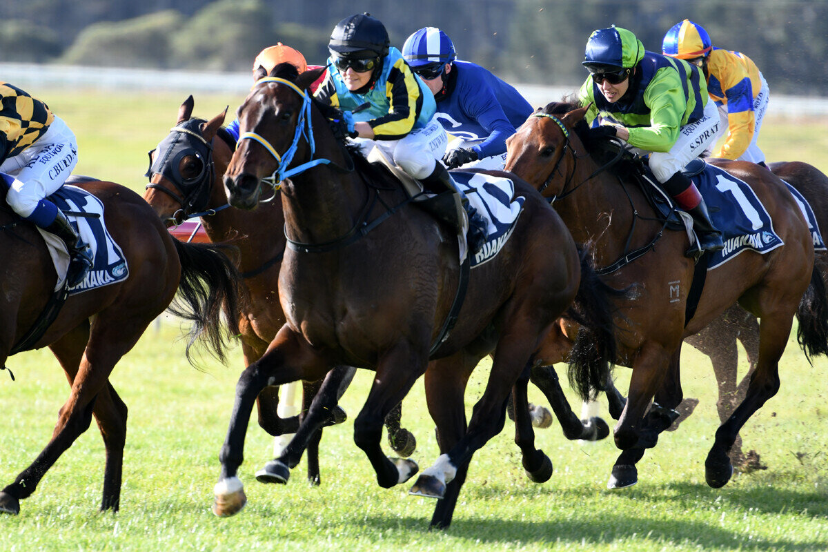 Versatile Sprinter On Railway Path The Oaks Stud