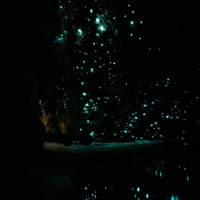 Inside a dark cave in Rotorua with thousands of glow worms glowing on the ceiling