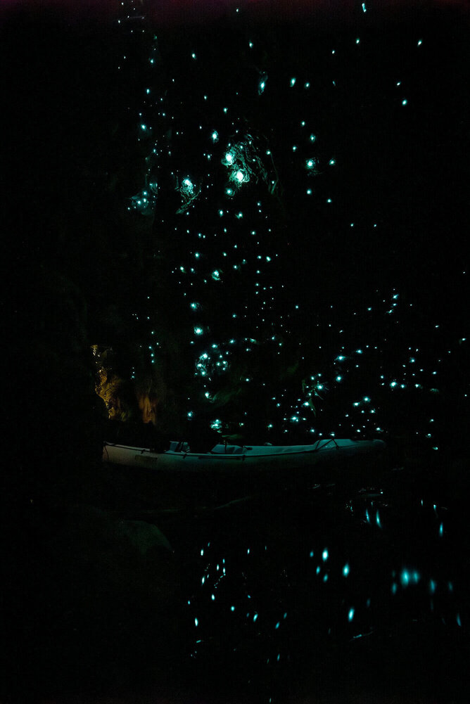 Kayak inside a dark Rotorua cave with glow worms glowing on the walls and ceiling