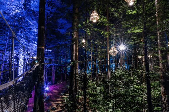 Redwoods Treewalk in Rotorua at night with lanterns lighting the suspended bridges among giant trees
