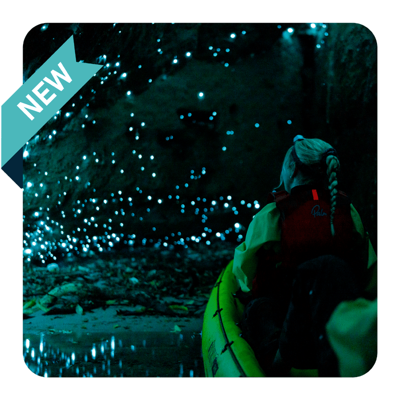 A kayaker in a dark cave showing a wall of glow worms
