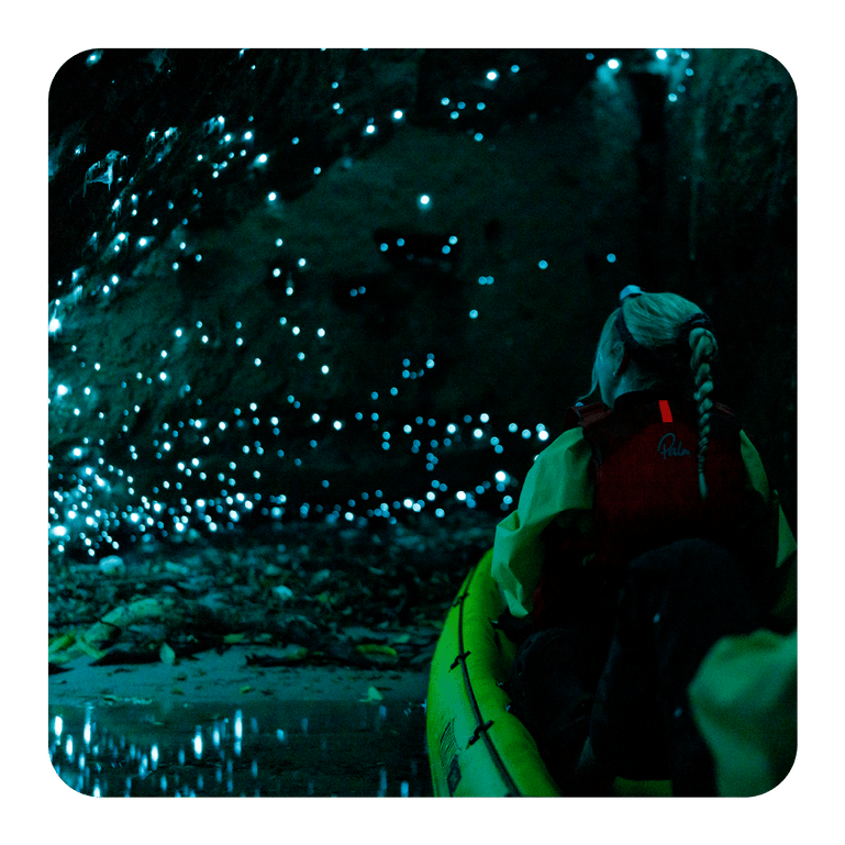 A kayaker in a dark cave showing a wall of glow worms