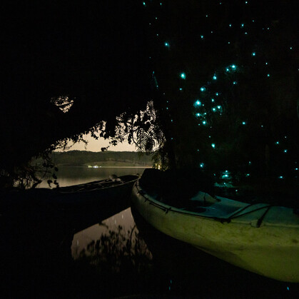 kayaks in a glow worm cave looking out to the lake