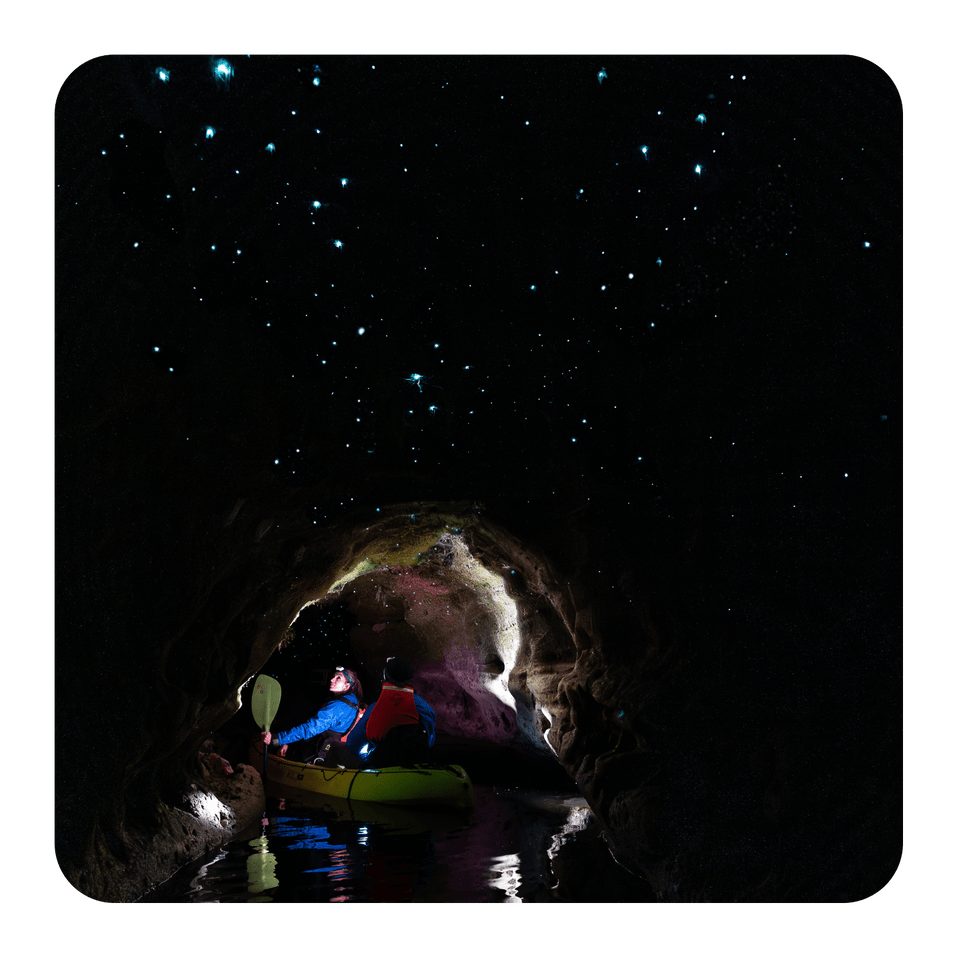 Glow Worm caves, couple in kayak in cave admiring galaxy of glow worms
