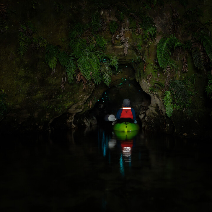 Amazing vibrant nature as Kayak enters Glow Worm Cave