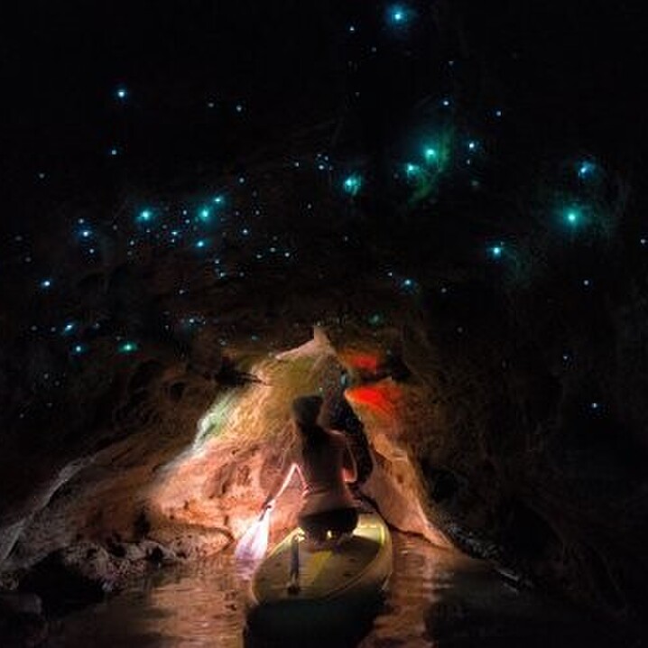 SUP glow worm caves