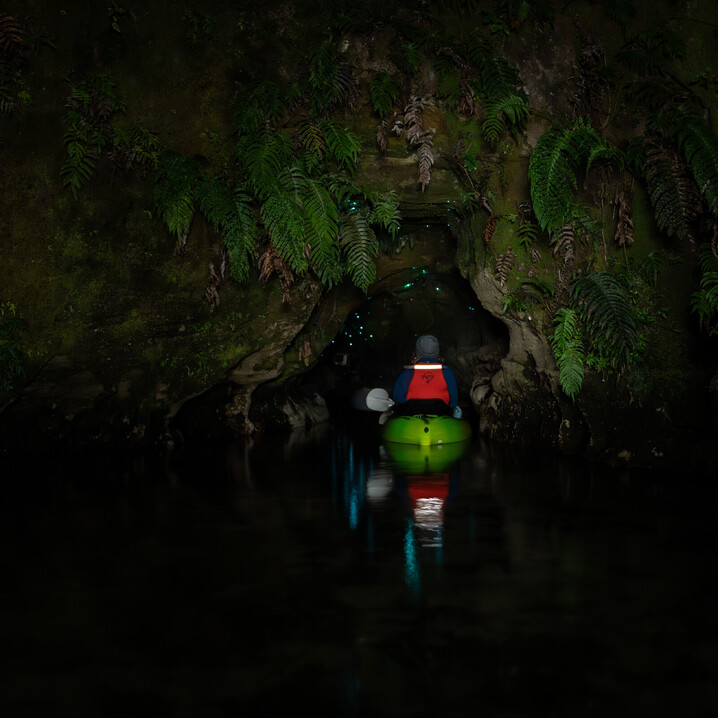 Amazing vibrant nature as Kayak enters Glow Worm Cave