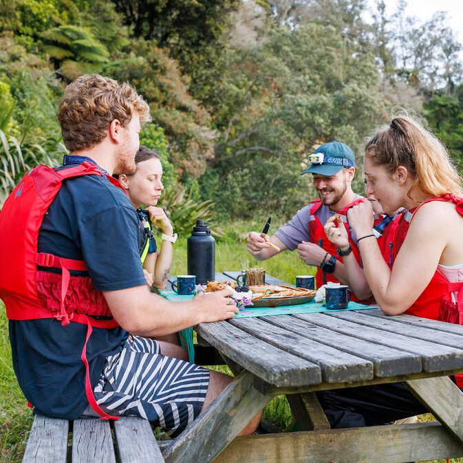 Star Gazing on New Zealand Glow Worm Tour