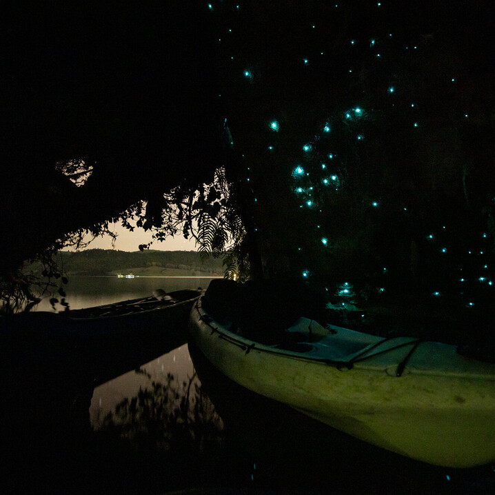 kayak sitting inside a glow worm cave looking out to the lake with dusk falling