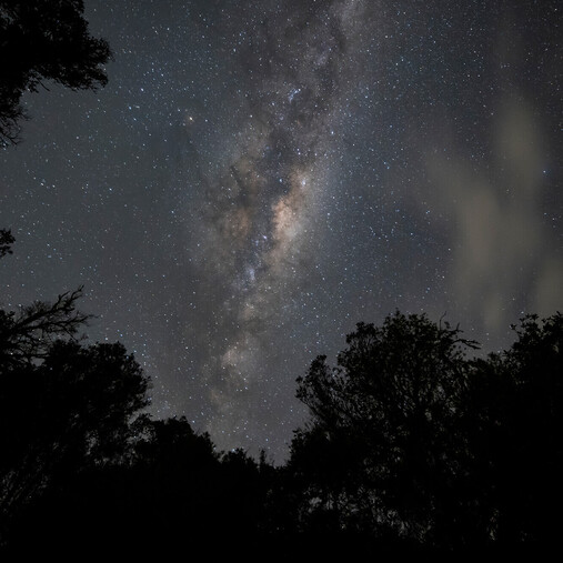 The Milky Way taken at night on the lake after returning from the glow worm cave tour