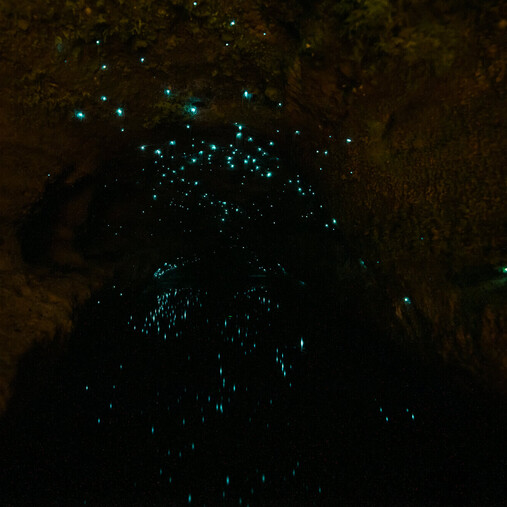A glow worm cave and reflection of light off the water