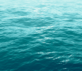 Waka Confidence - 8-11yrs