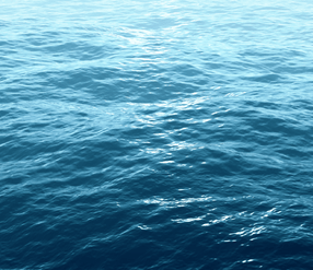 Waka Adults - +18 yrs