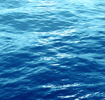 ADVENTURE - TERM 4 2025