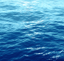 YOUTH LTS - JAN 2026