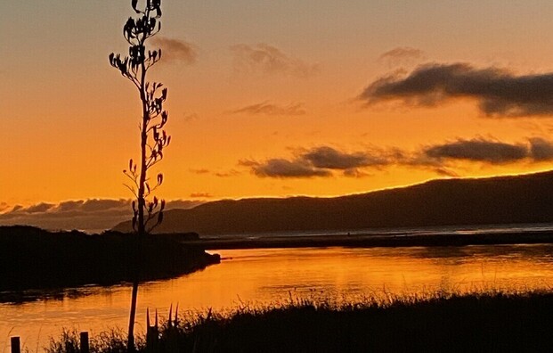 Kapiti Island - From $299