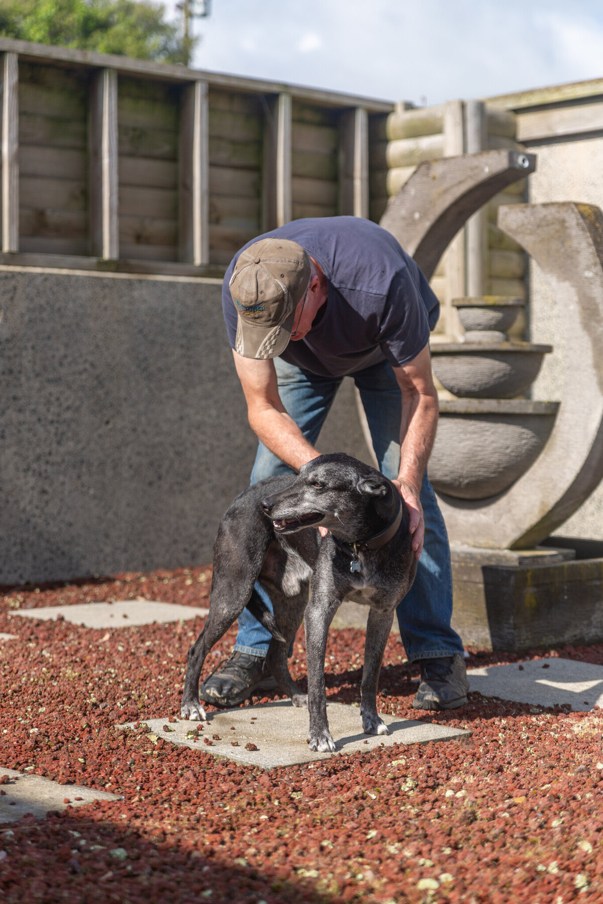 Pound Hounds Rescue roo
