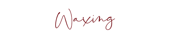 Waxing | Sarah Logan Beauty Salon Havelock North