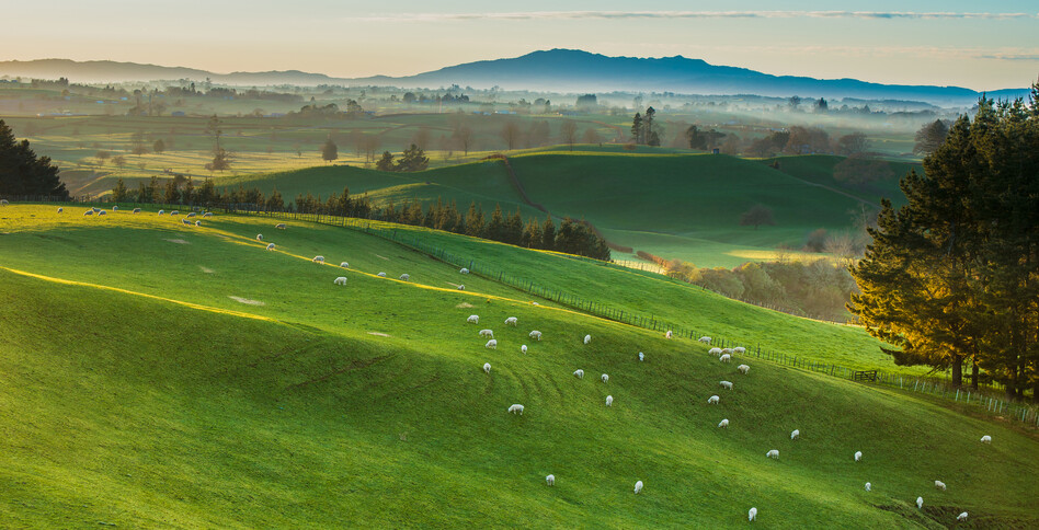 Waipa Home of Champions, Cambridge