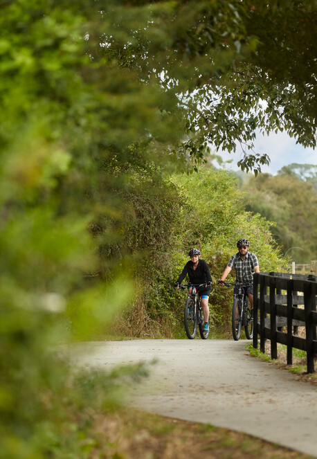 Te Awa Cycleway