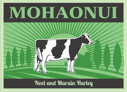 Mohaonui B & B