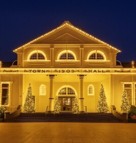 Christmas 'Party in the Trees' | Click here for tickets + more info