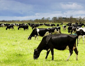 What can we use BCS data for?