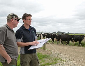 Wellbeing plans offer more than compliance