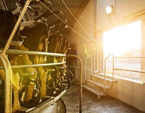 Wellbeing plans to your advantage