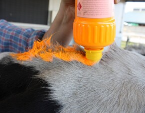 How&rsquo;s your heat detection strategy?