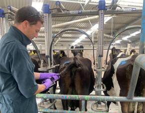 Tail scoring is a valuable tool