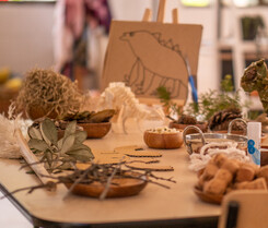 Nature play for environmental learning  | Little Moa's ELC