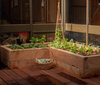 Sustainable, eco-friendly childcare centre | Early Learning Centre at Little Moas | Auckland Mt Wellington