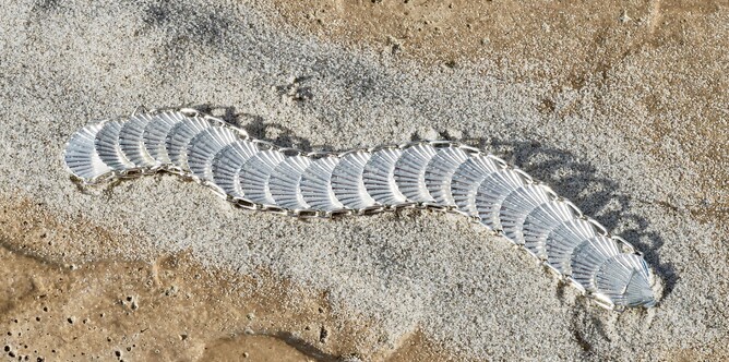 Scallop shell bracelet in sterling silver