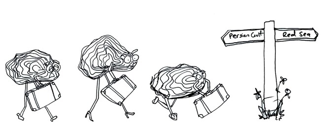 Drawing courtesy of Rachel Ink Art