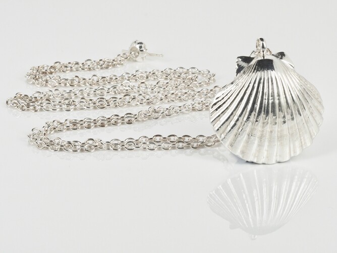 scallop shell sterling silver pendant and chain.