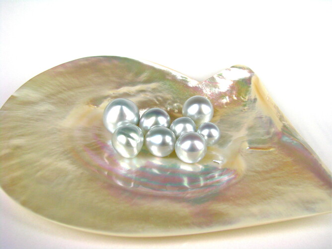 Australian South Sea Pearls