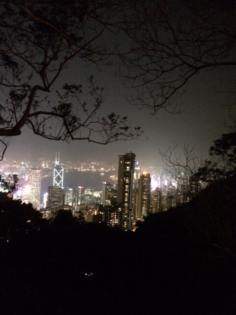 Hand made Jewellery NZ