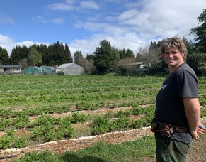 Nourishing Families and Communities Made Easier with Automation