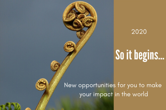 Koru - Photo: Sandy Millar, Unsplash